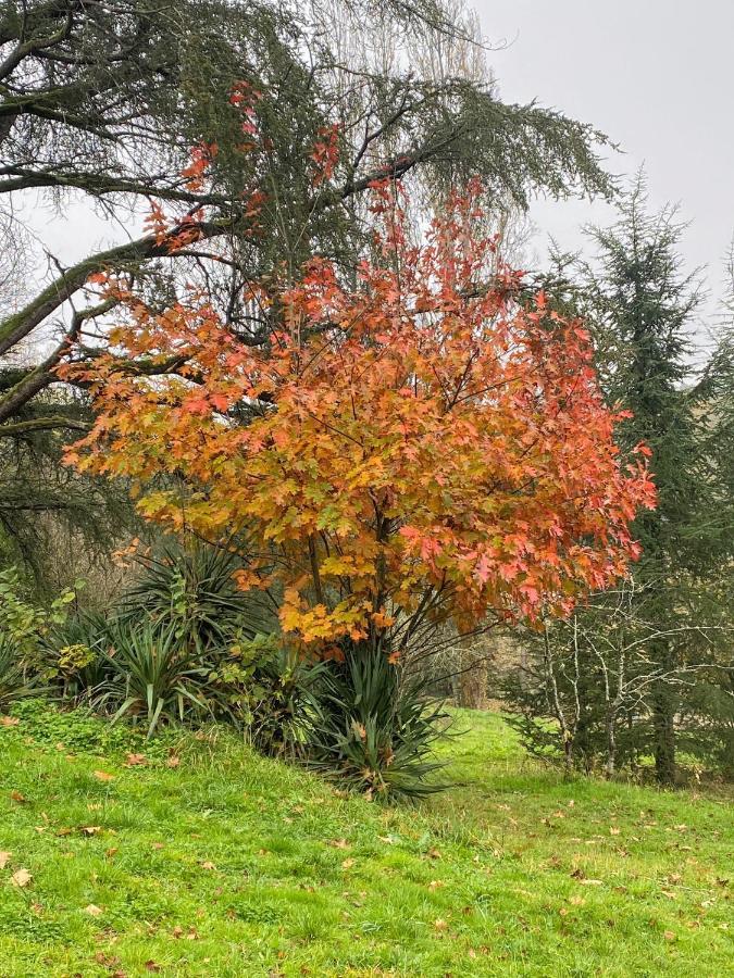 Domaine Le Manoir, Gites De Charme Et De Caractere Avec Piscines Privatisees Et Spa Nordique Fossemagne Exteriér fotografie