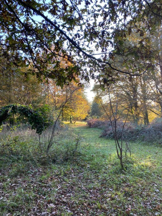 Domaine Le Manoir, Gites De Charme Et De Caractere Avec Piscines Privatisees Et Spa Nordique Fossemagne Exteriér fotografie