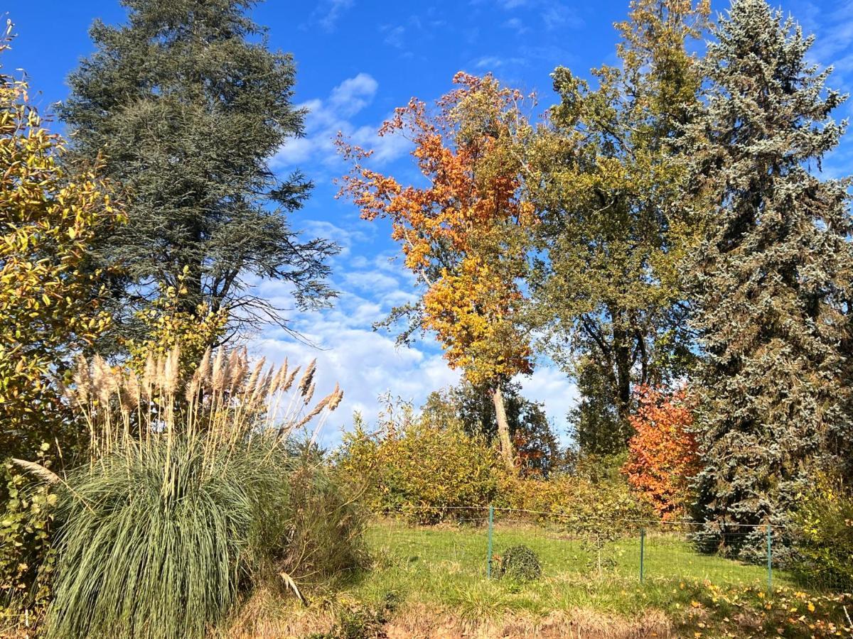 Domaine Le Manoir, Gites De Charme Et De Caractere Avec Piscines Privatisees Et Spa Nordique Fossemagne Exteriér fotografie